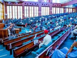 Lawmakers Approve Creation of Six New States, Promise Fairness Across Regions