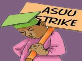Education Crisis Persists as ASUU Accuses FG of Neglecting Sector