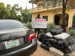 Troops Seize 108kg of Cannabis in Kogi, Arrest Suspected Courier