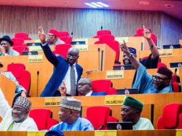 Senate Approves Tinubu’s Request to Deploy Troops to Benin Republic for Peace Mission