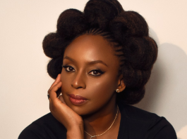 MDCN Suspends Three Doctors Over Death of Chimamanda Adichie’s Son