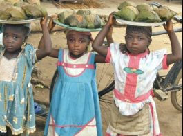 FG Intensifies Efforts to Eliminate Child Labour by 2030