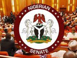 Senate Summons NFF, NSC Over Nigeria’s Declining Football Fortunes