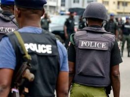 Police Arrest 22 Suspects, Recover Firearms, Drugs