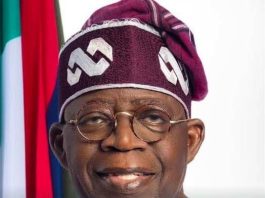 Tinubu Hails $800m Ima Gas Project FID