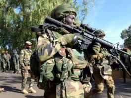 Troops Rescue 23 Kidnapped Victims, Arrest Four Suspects in Sokoto