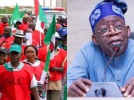 FG Approves ₦70,000 Monthly Transport Allowance for Workers for Six Months